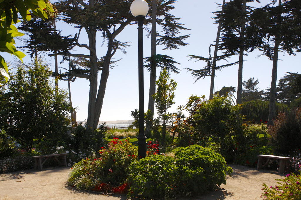 Back Bay Inn Los Osos Exterior photo